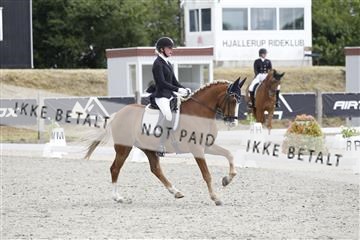 166078_rhj_01__J7R2391.JPG