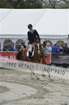 139644_abo_05__AB19907.JPG