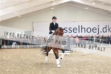 174363_kbb_01_R6II8107.JPG