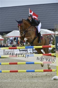 139644_abo_06__AB10233.JPG