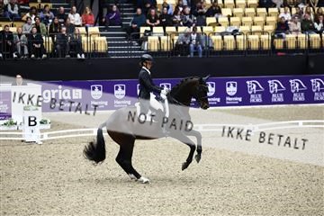 182194_avh_05_2426.JPG