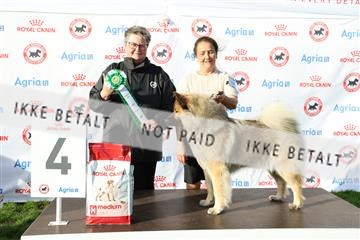 182009_rin_03_R62_5366.JPG