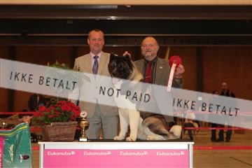 124188 _tl_02_IMG_9330.JPG