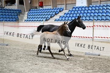 181754_kbb_01_Z093043.JPG