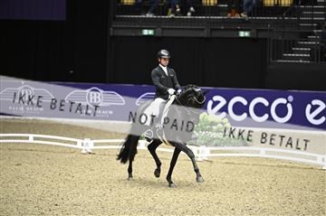 182194_kbb_02_Z098755.JPG