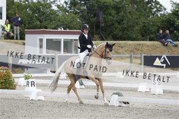 166078_rhj_01__J7R3051.JPG