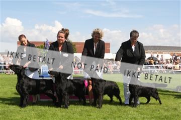 130370_se_03_IMG_7647.JPG