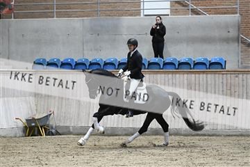 182241_kbb_01_Z094147.JPG