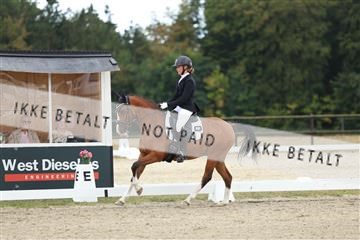 181894_mtp_03_R62_2920.JPG