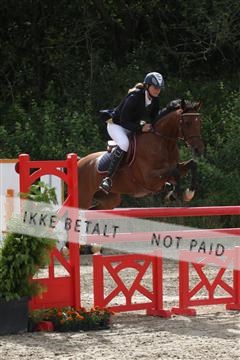 5350_sme _01_IMG_4454.JPG