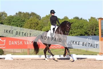 181449_bc_01R62_6357.JPG