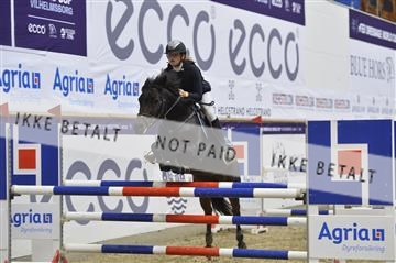 166898_kbb_1__KBB6629.JPG