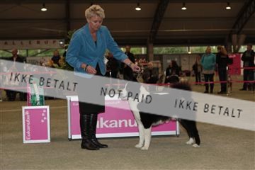 126168_se_01_IMG_6992.JPG