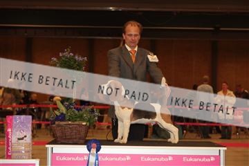 124188 _tl_02_IMG_9566.JPG