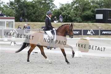 166078_rhj_01__J7R3325.JPG