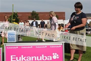 130370_se_02_IMG_6561.JPG
