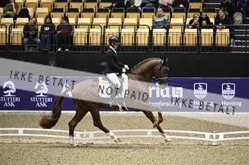 182194_kbb_01_Z096786.JPG