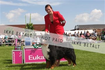 130370_se_03_IMG_7460.JPG