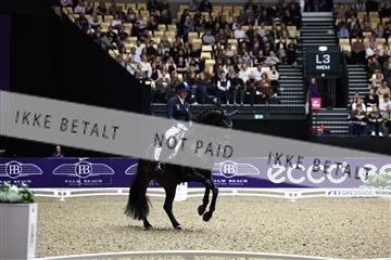 182194_avh_06_3249.JPG