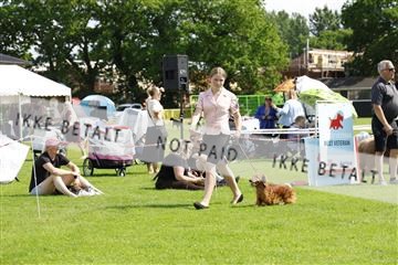 181564_kar_01__62_6944.JPG