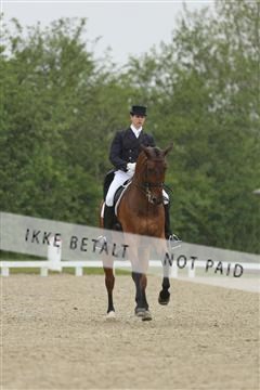139835_sg_02_IMG_8555.JPG