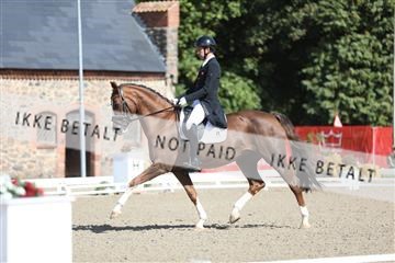 181957_mtp_06_3M5A1911.JPG
