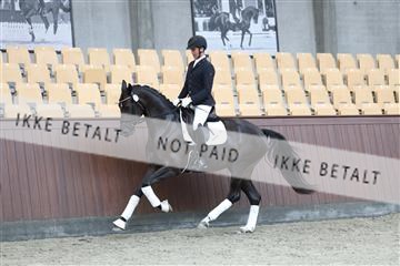 181852_mtp_03_R62_2447.JPG