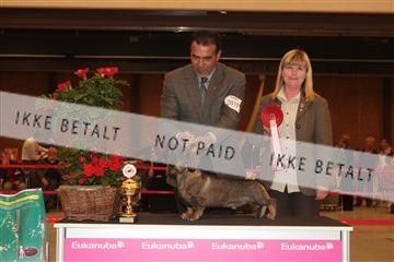 124188 _tl_02_IMG_9615.JPG