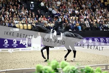 182194_avh_07_3893.JPG