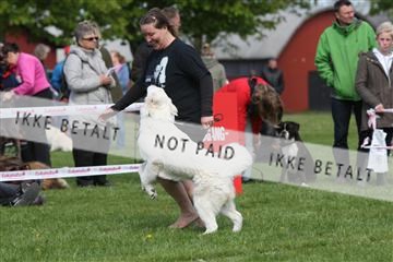 134871_ms_02_IMG_3587.JPG