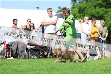 181564_rin_02_R62_3676.JPG