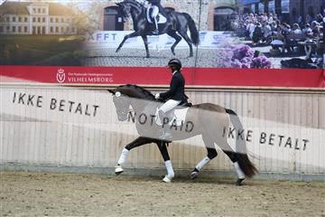181887_mtp_05_R62_9456.JPG