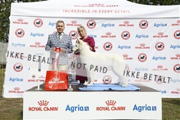 181848_kar_01__62_0772.JPG