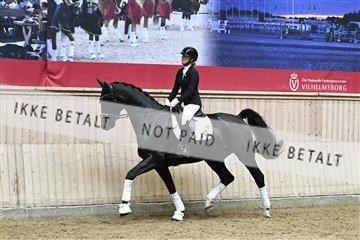 182241_kbb_01_Z094466.JPG