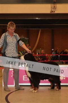 124188 _tl_02_IMG_9602.JPG