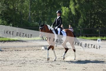168732_mtp_01_3M5A5950.JPG