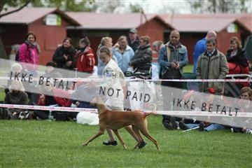 134871_ms_04_IMG_0205.JPG