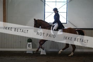 139267_kl_1_8M1Q6591.JPG
