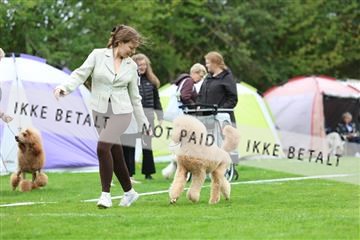 182009_rin_01_R62_6775.JPG
