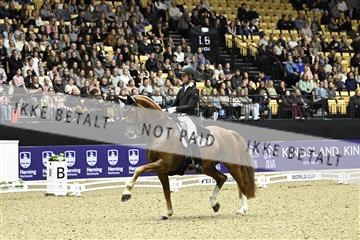 182194_kbb_03_Z092728.JPG