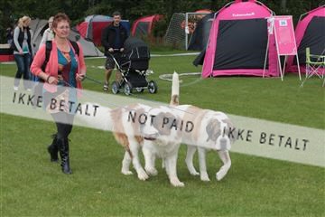 130370_tl_01_IMG_7174.JPG