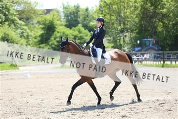 168732_mtp_01_3M5A7464.JPG