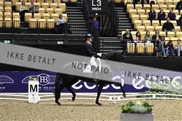 182194_kbb_03_Z090149.JPG