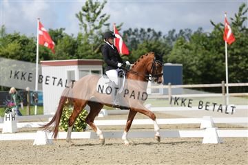 156196_nn_01_IMG_5623.JPG