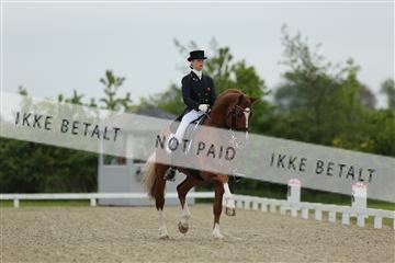 139835_sg_01_IMG_7461.JPG