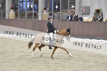173273_kbb_01__D4S0016.JPG
