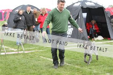 134871_ms_04_IMG_9907.JPG