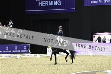 182194_kbb_03_Z092691.JPG