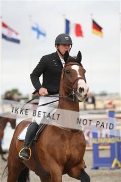 152762_nn _05_IMG_7773.JPG