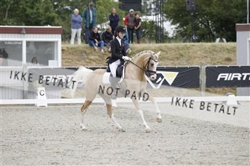 166078_rhj_01__J7R2850.JPG